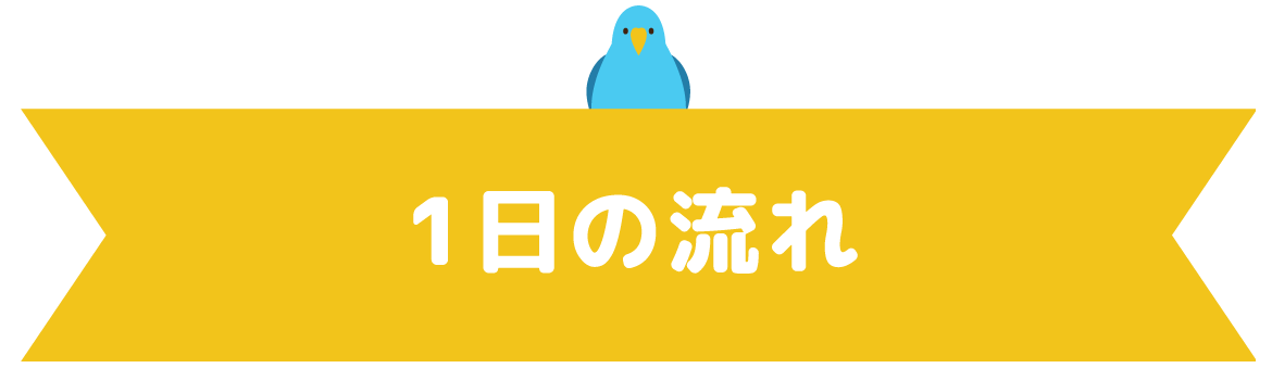1日の流れ